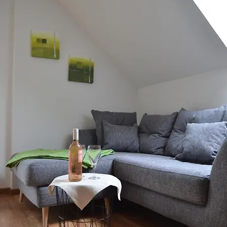 Biohof Auinger, Der Tiererlebnishof Apartment Aurach am Hongar Exterior photo