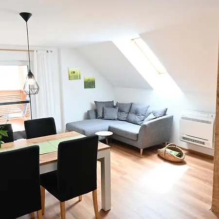 Biohof Auinger, Der Tiererlebnishof Apartment Aurach am Hongar Exterior photo