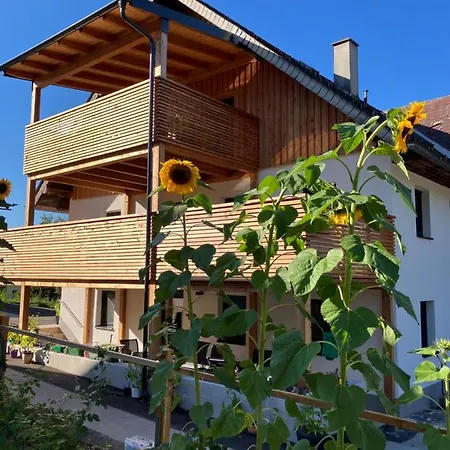Biohof Auinger, Der Tiererlebnishof Apartment Aurach am Hongar Exterior photo