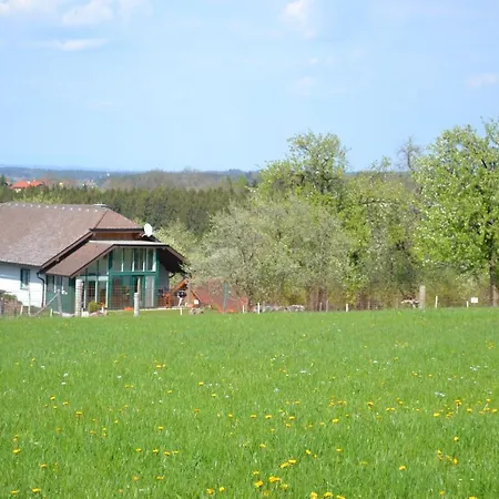 Biohof Auinger, Der Tiererlebnishof Apartment Aurach am Hongar Exterior photo