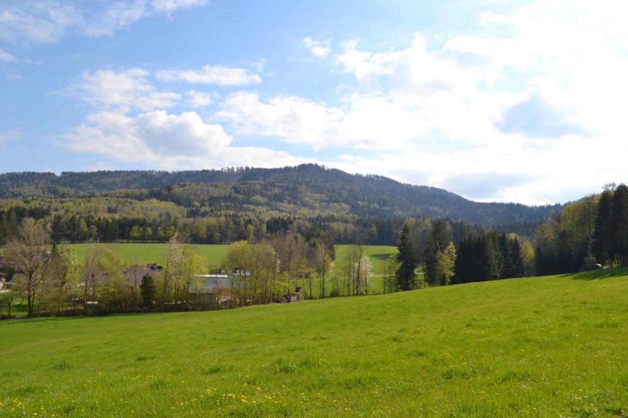 Biohof Auinger, Der Tiererlebnishof Apartment Aurach am Hongar