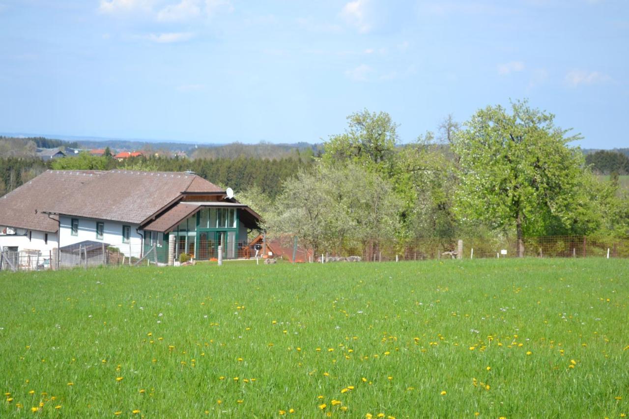 Biohof Auinger, Der Tiererlebnishof