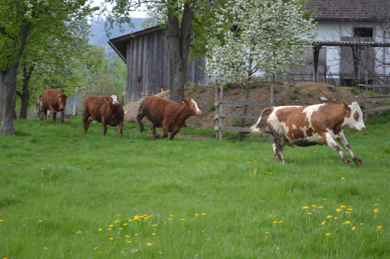 Biohof Auinger, Der Tiererlebnishof Apartmán *
