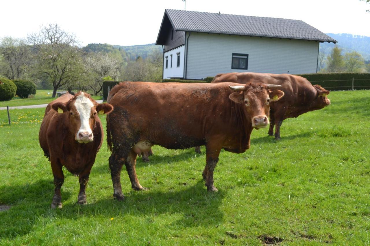 Apartmán Biohof Auinger, Der Tiererlebnishof